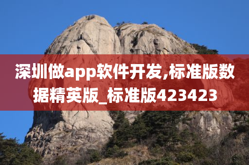 深圳做app软件开发,标准版数据精英版_标准版423423