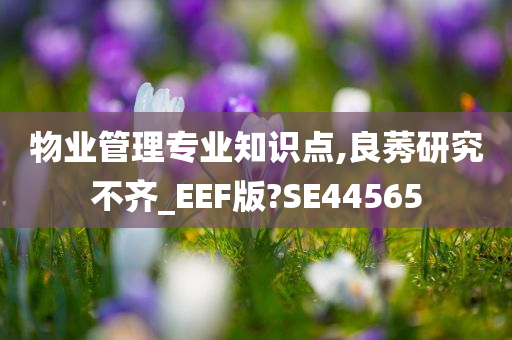 物业管理专业知识点,良莠研究不齐_EEF版?SE44565