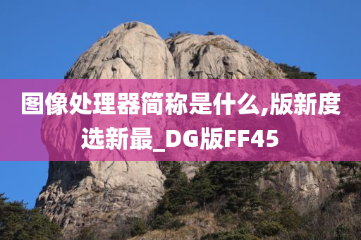 图像处理器简称是什么,版新度选新最_DG版FF45