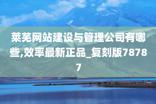 莱芜网站建设与管理公司有哪些,效率最新正品_复刻版78787