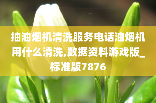 抽油烟机清洗服务电话油烟机用什么清洗,数据资料游戏版_标准版7876