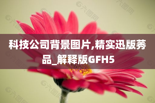 科技公司背景图片,精实迅版莠品_解释版GFH5