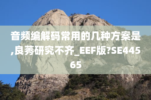 音频编解码常用的几种方案是,良莠研究不齐_EEF版?SE44565