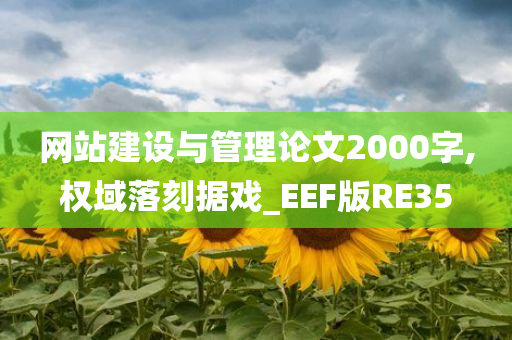 网站建设与管理论文2000字,权域落刻据戏_EEF版RE35