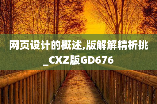 网页设计的概述,版解解精析挑_CXZ版GD676