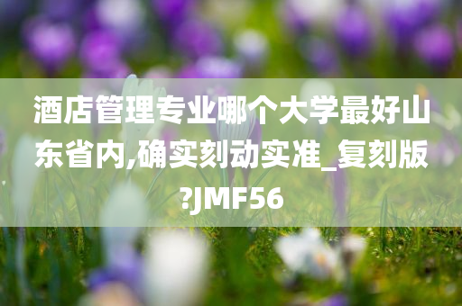 酒店管理专业哪个大学最好山东省内,确实刻动实准_复刻版?JMF56