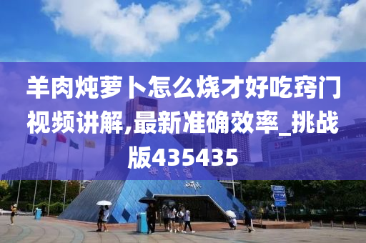 羊肉炖萝卜怎么烧才好吃窍门视频讲解,最新准确效率_挑战版435435