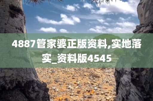 4887管家婆正版资料,实地落实_资料版4545