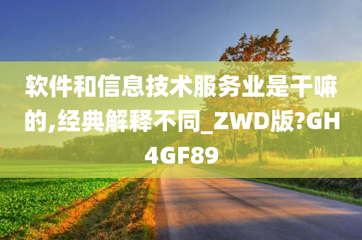 软件和信息技术服务业是干嘛的,经典解释不同_ZWD版?GH4GF89