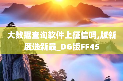 大数据查询软件上征信吗,版新度选新最_DG版FF45