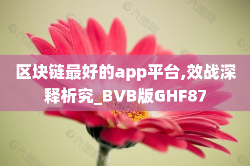 区块链最好的app平台,效战深释析究_BVB版GHF87