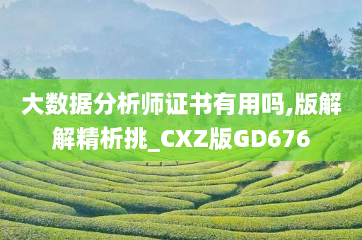 大数据分析师证书有用吗,版解解精析挑_CXZ版GD676