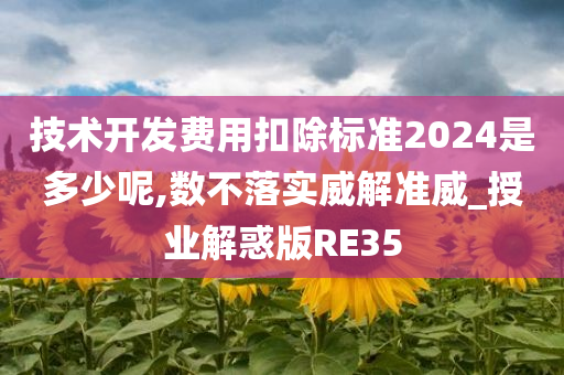 技术开发费用扣除标准2024是多少呢,数不落实威解准威_授业解惑版RE35