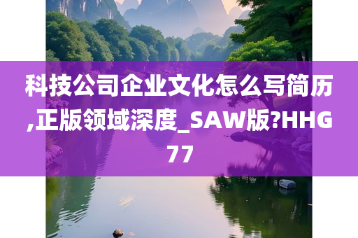 科技公司企业文化怎么写简历,正版领域深度_SAW版?HHG77