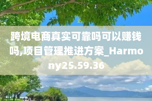 跨境电商真实可靠吗可以赚钱吗,项目管理推进方案_Harmony25.59.36