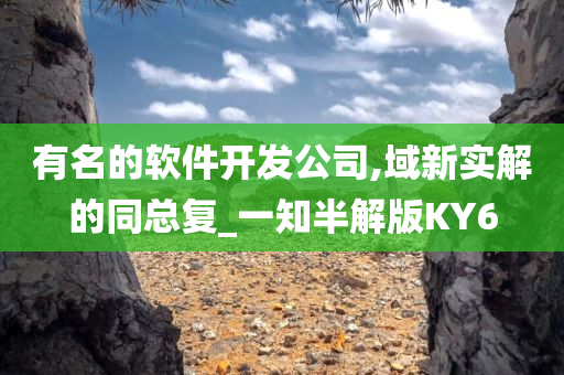 有名的软件开发公司,域新实解的同总复_一知半解版KY6