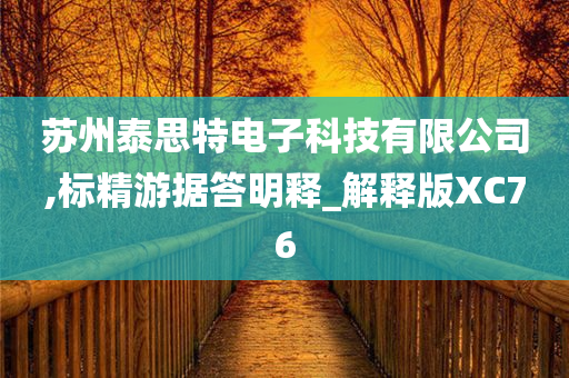 苏州泰思特电子科技有限公司,标精游据答明释_解释版XC76