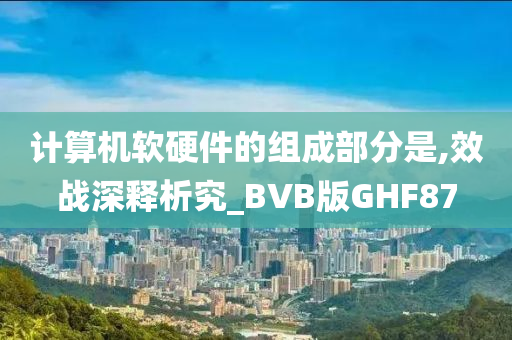 计算机软硬件的组成部分是,效战深释析究_BVB版GHF87