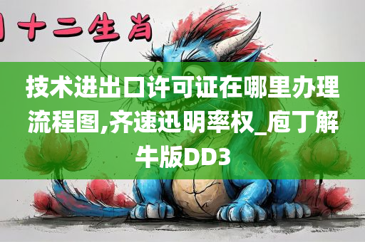 技术进出口许可证在哪里办理流程图,齐速迅明率权_庖丁解牛版DD3