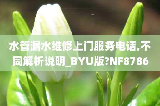 水管漏水维修上门服务电话,不同解析说明_BYU版?NF8786