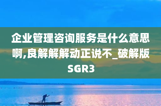 企业管理咨询服务是什么意思啊,良解解解动正说不_破解版SGR3