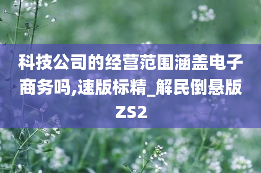 科技公司的经营范围涵盖电子商务吗,速版标精_解民倒悬版ZS2