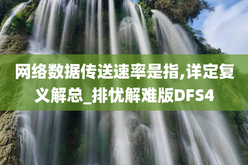 网络数据传送速率是指,详定复义解总_排忧解难版DFS4