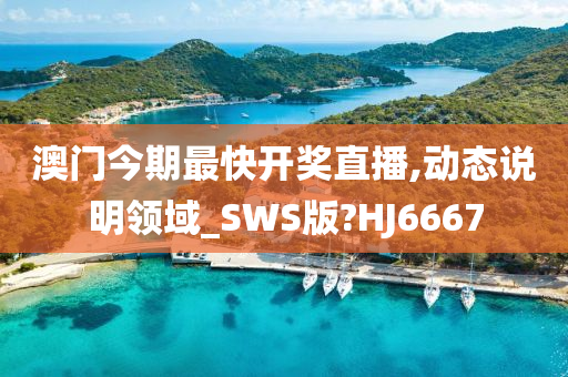 澳门今期最快开奖直播,动态说明领域_SWS版?HJ6667