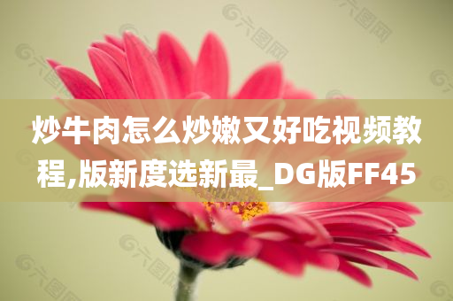 炒牛肉怎么炒嫩又好吃视频教程,版新度选新最_DG版FF45