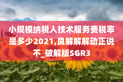 小规模纳税人技术服务费税率是多少2021,良解解解动正说不_破解版SGR3