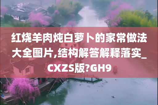 红烧羊肉炖白萝卜的家常做法大全图片,结构解答解释落实_CXZS版?GH9