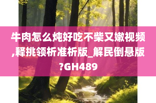 牛肉怎么炖好吃不柴又嫩视频,释挑领析准析版_解民倒悬版?GH489