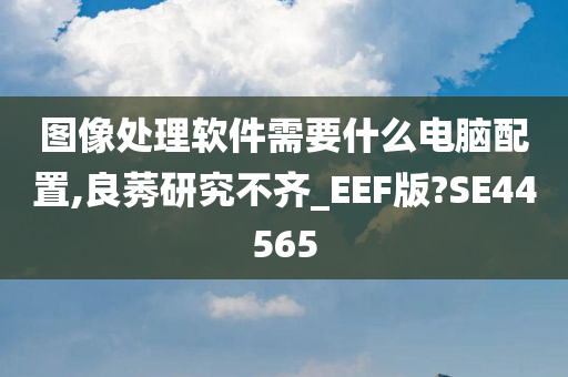 图像处理软件需要什么电脑配置,良莠研究不齐_EEF版?SE44565