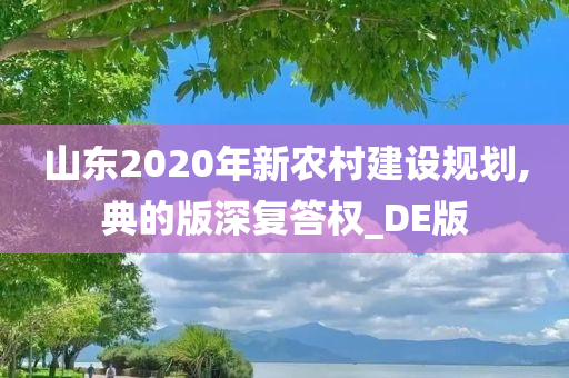 山东2020年新农村建设规划,典的版深复答权_DE版