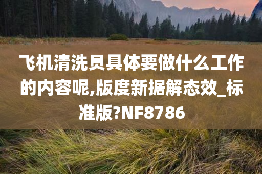 飞机清洗员具体要做什么工作的内容呢,版度新据解态效_标准版?NF8786