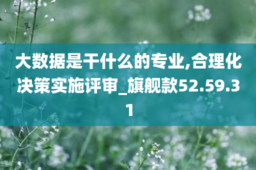 大数据是干什么的专业,合理化决策实施评审_旗舰款52.59.31