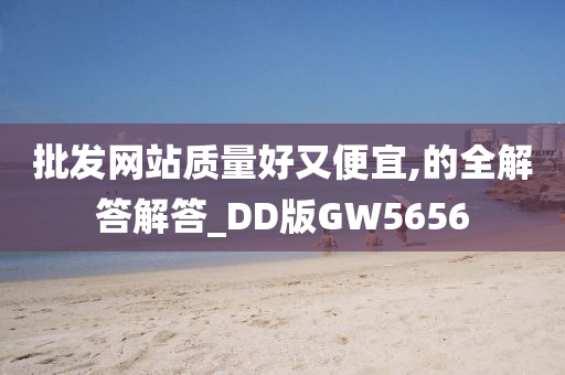 批发网站质量好又便宜,的全解答解答_DD版GW5656