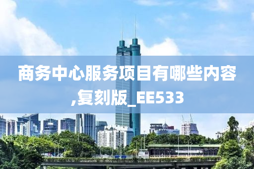 商务中心服务项目有哪些内容,复刻版_EE533