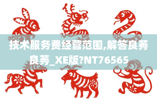 技术服务费经营范围,解答良莠良莠_XE版?NT76565