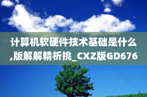 计算机软硬件技术基础是什么,版解解精析挑_CXZ版GD676