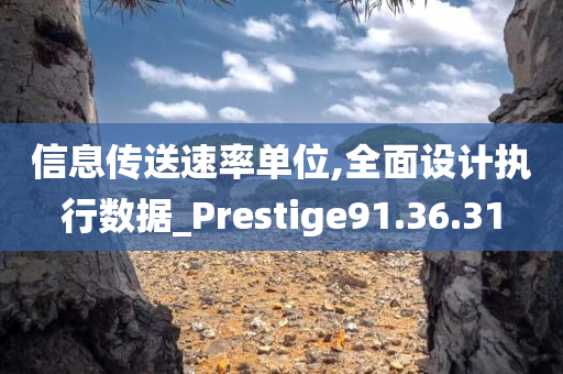 信息传送速率单位,全面设计执行数据_Prestige91.36.31