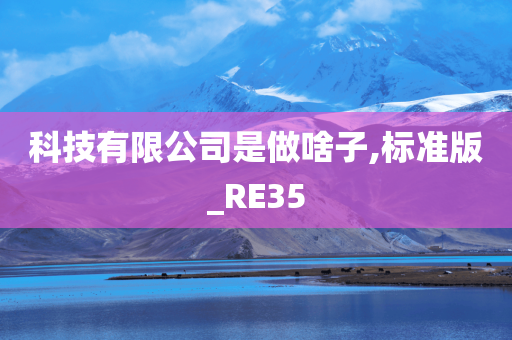 科技有限公司是做啥子,标准版_RE35