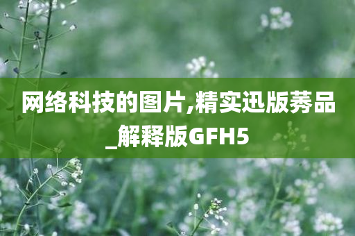 网络科技的图片,精实迅版莠品_解释版GFH5