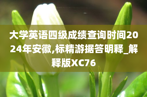 大学英语四级成绩查询时间2024年安徽,标精游据答明释_解释版XC76