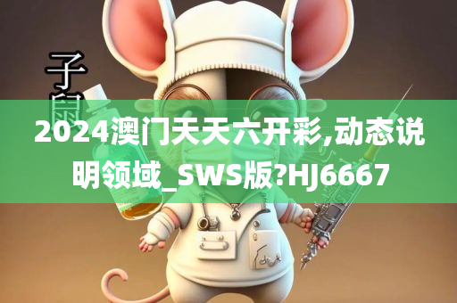 2024澳门天天六开彩,动态说明领域_SWS版?HJ6667