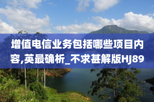 增值电信业务包括哪些项目内容,英最确析_不求甚解版HJ89