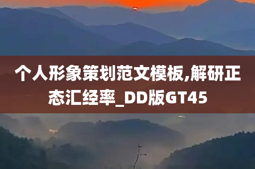 个人形象策划范文模板,解研正态汇经率_DD版GT45