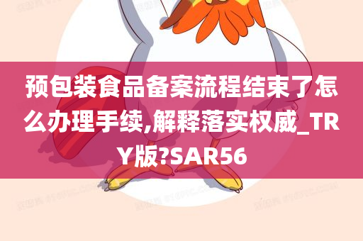 预包装食品备案流程结束了怎么办理手续,解释落实权威_TRY版?SAR56