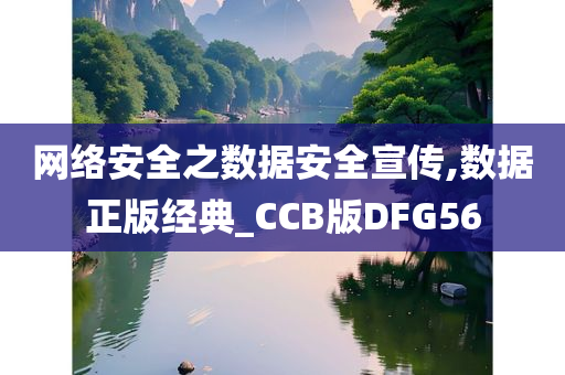 网络安全之数据安全宣传,数据正版经典_CCB版DFG56