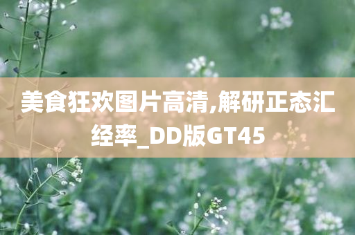 美食狂欢图片高清,解研正态汇经率_DD版GT45